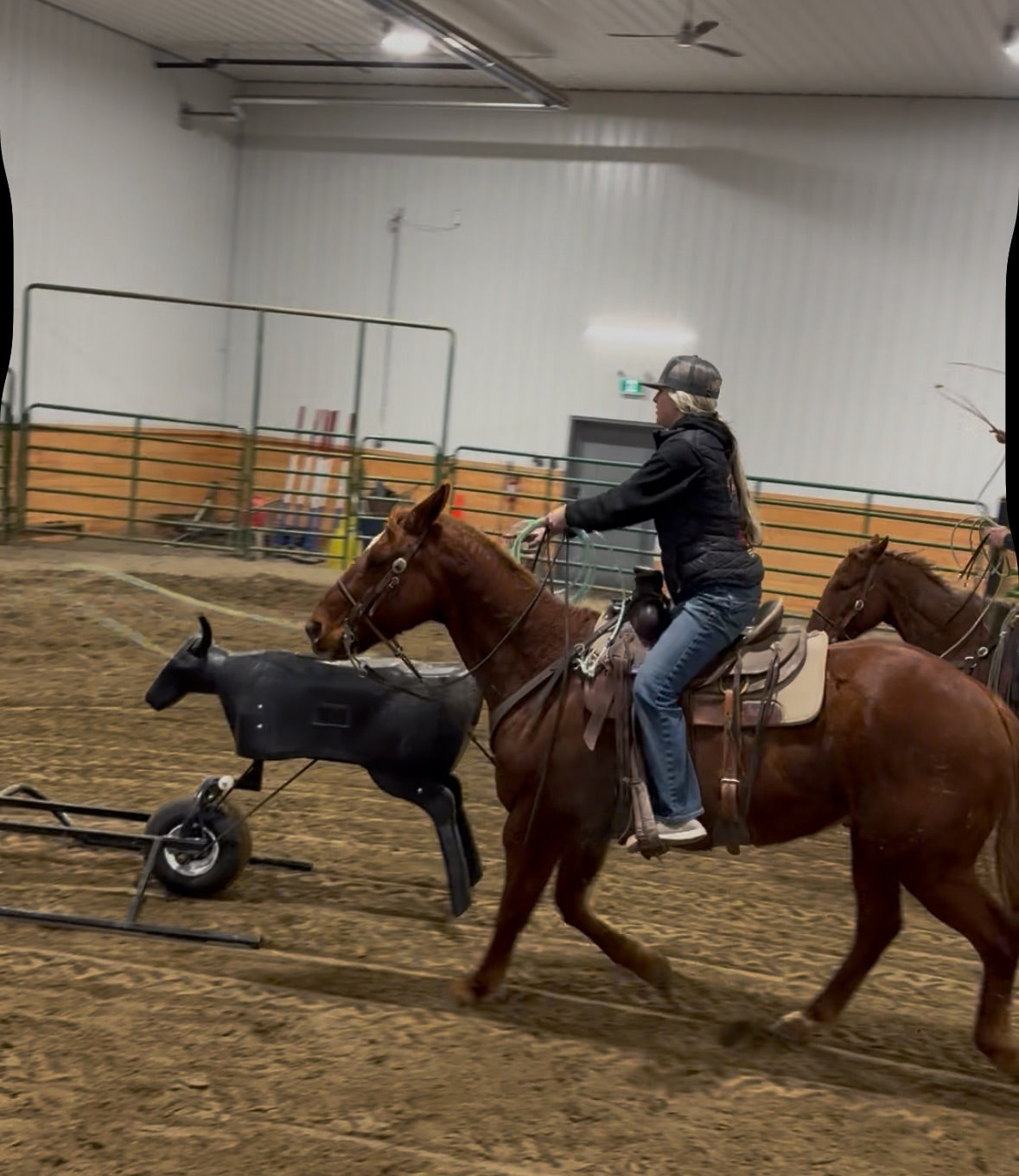 Open Heel-O-Matic Roping Practice Payment