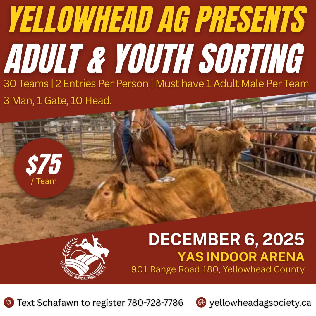 YAS YOUTH & ADULT SORTING JACKPOT