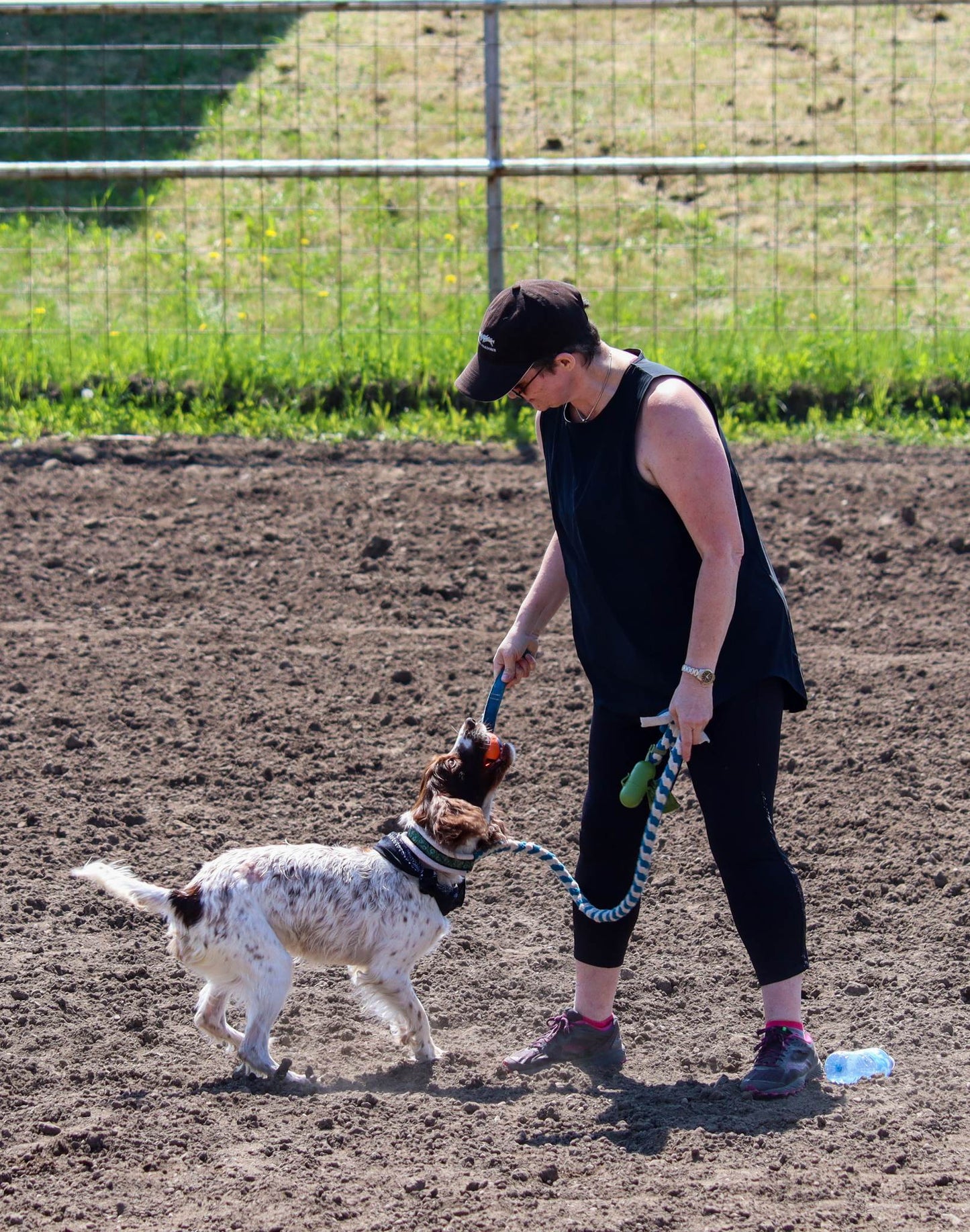 3rd Annual Dog and Pony Show