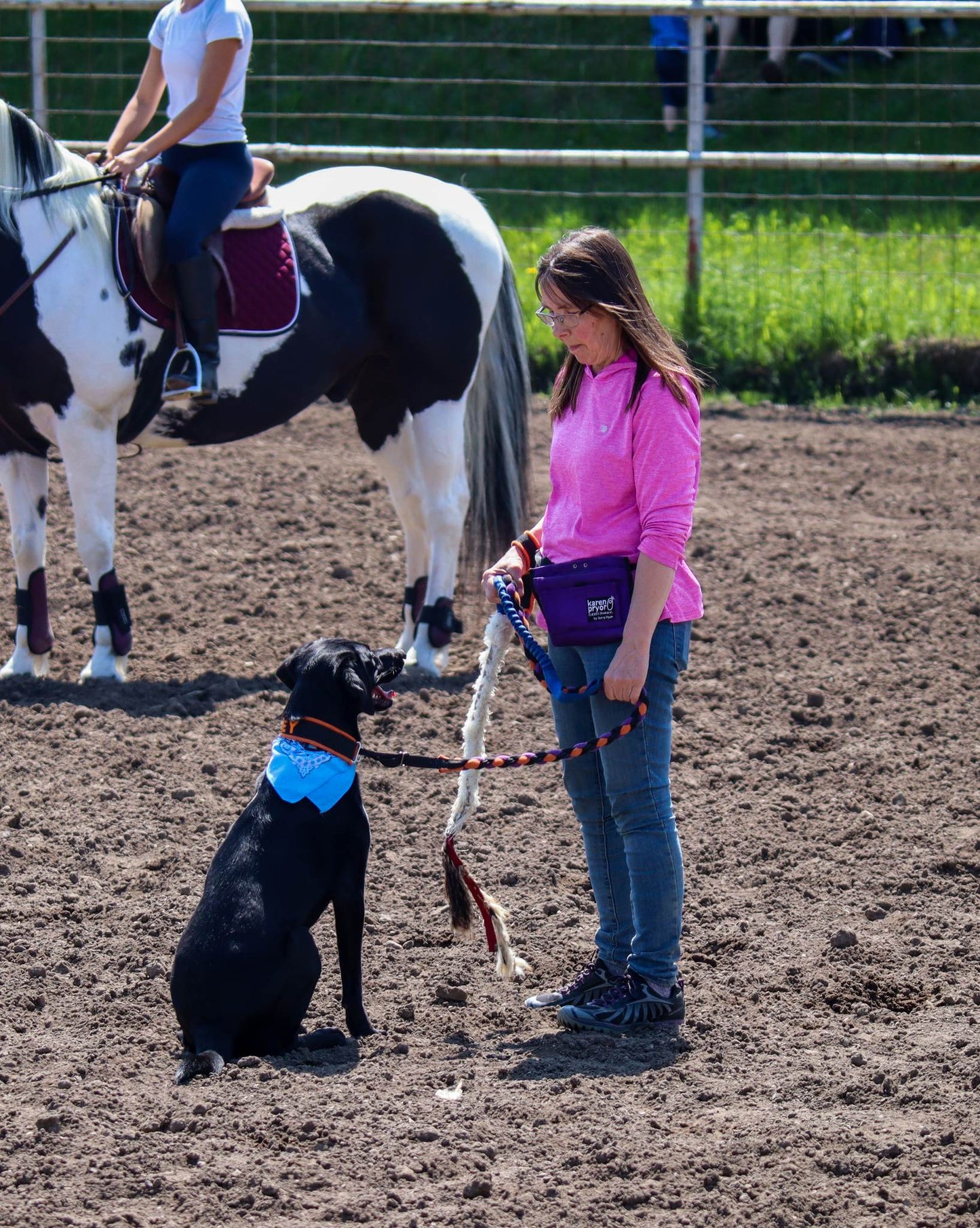 3rd Annual Dog and Pony Show