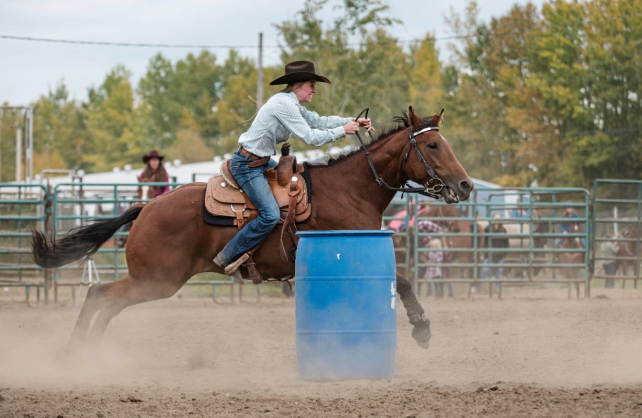 Outdoor Arena Open Riding Payment